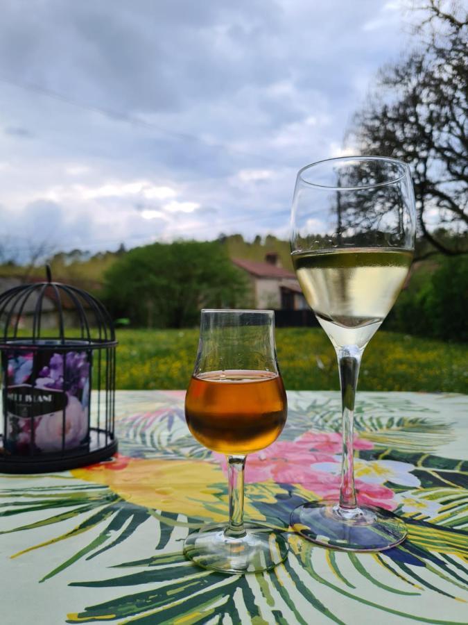 La Perle De Frayssinet-Le-Gelat - Chambre D'Hotes - B&B Zewnętrze zdjęcie